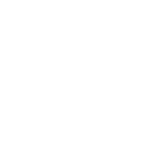why-icon-4
